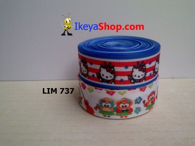 Pita LIM 737  large2